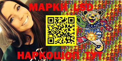 spice Чебоксары