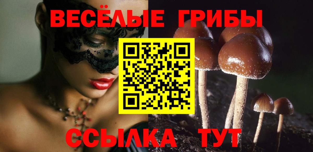 Псилоцибиновые грибы ЛСД  Вход с VPN  Галлюциногенные грибы GOLDEN TEACHER  Магнитогорск 
